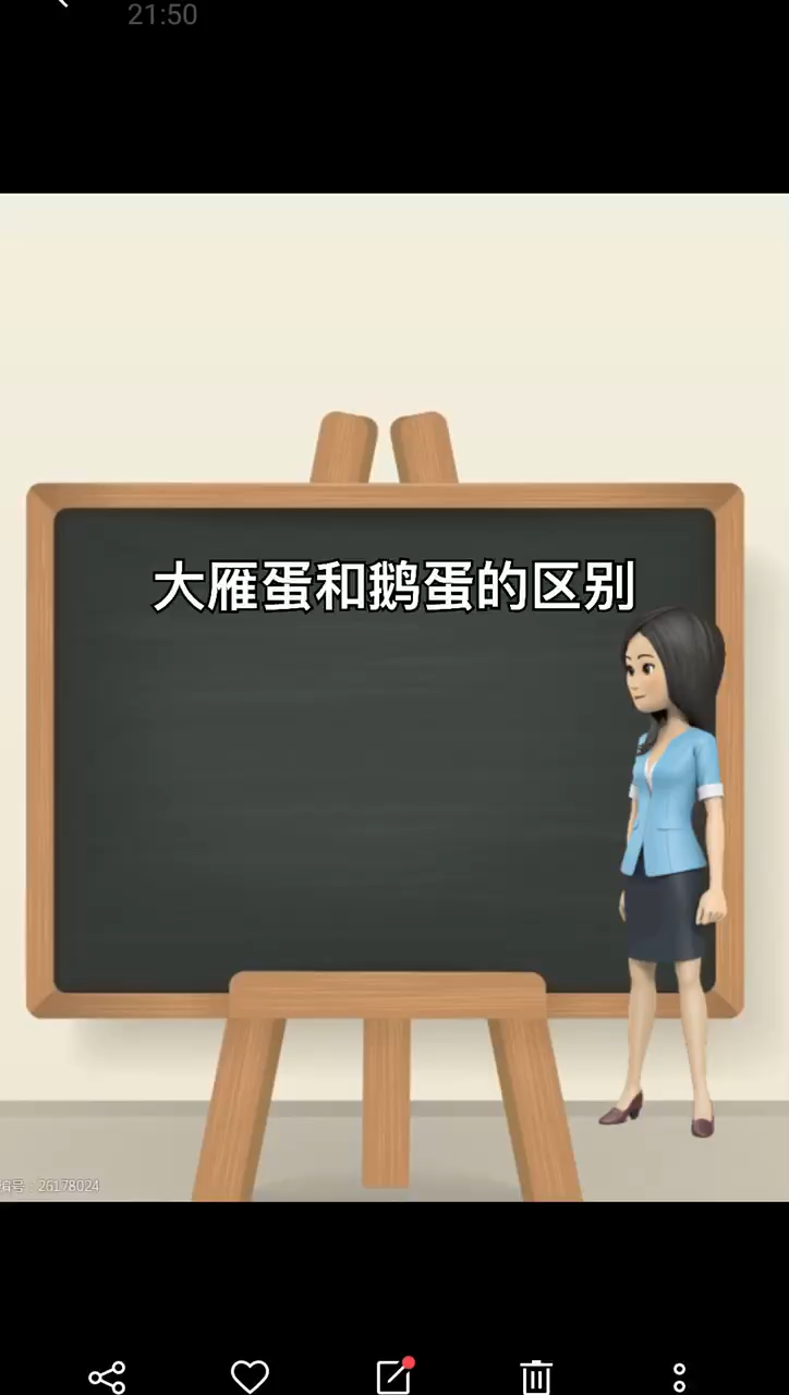 我来告诉你大雁蛋和鹅蛋的区别