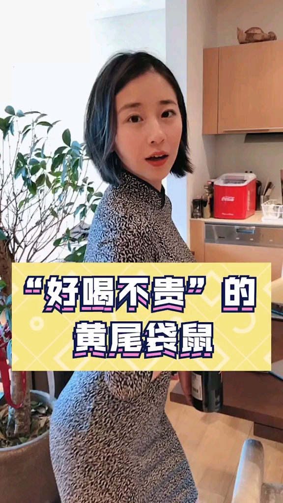 #你喜欢的样子我都有#不知道什么时候喝红酒?别急!12s之后,请听我说