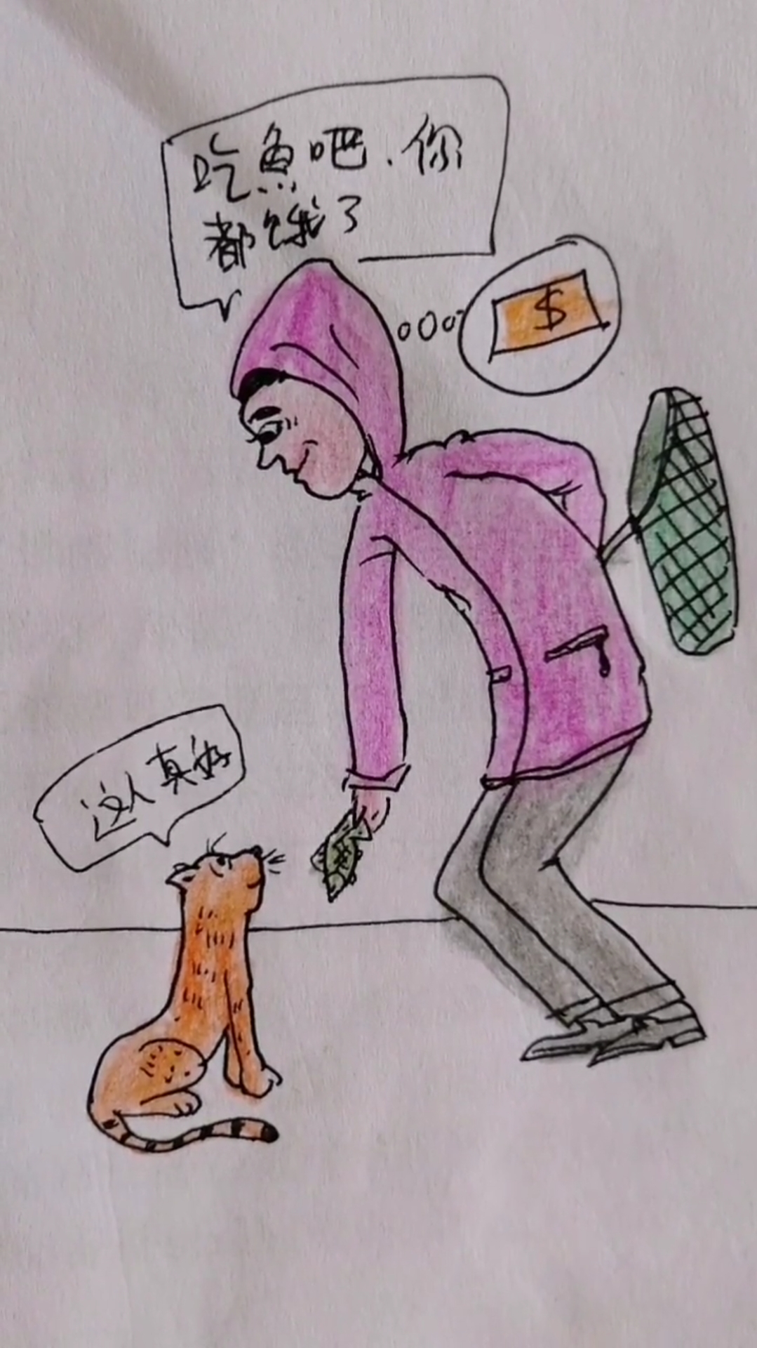 猫吃鱼