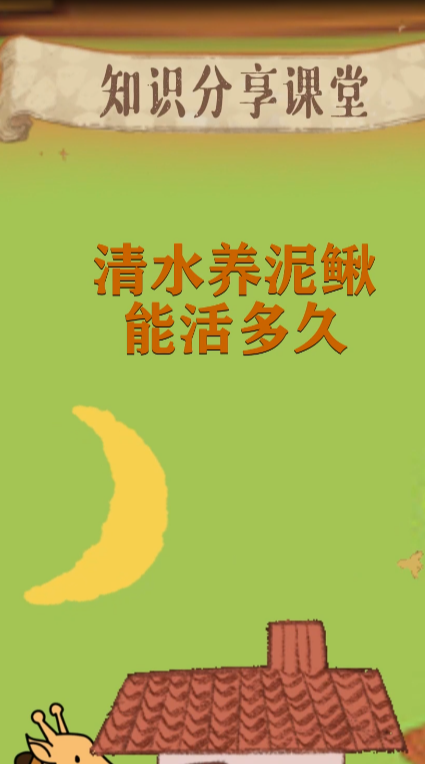 清水养泥鳅能活多久