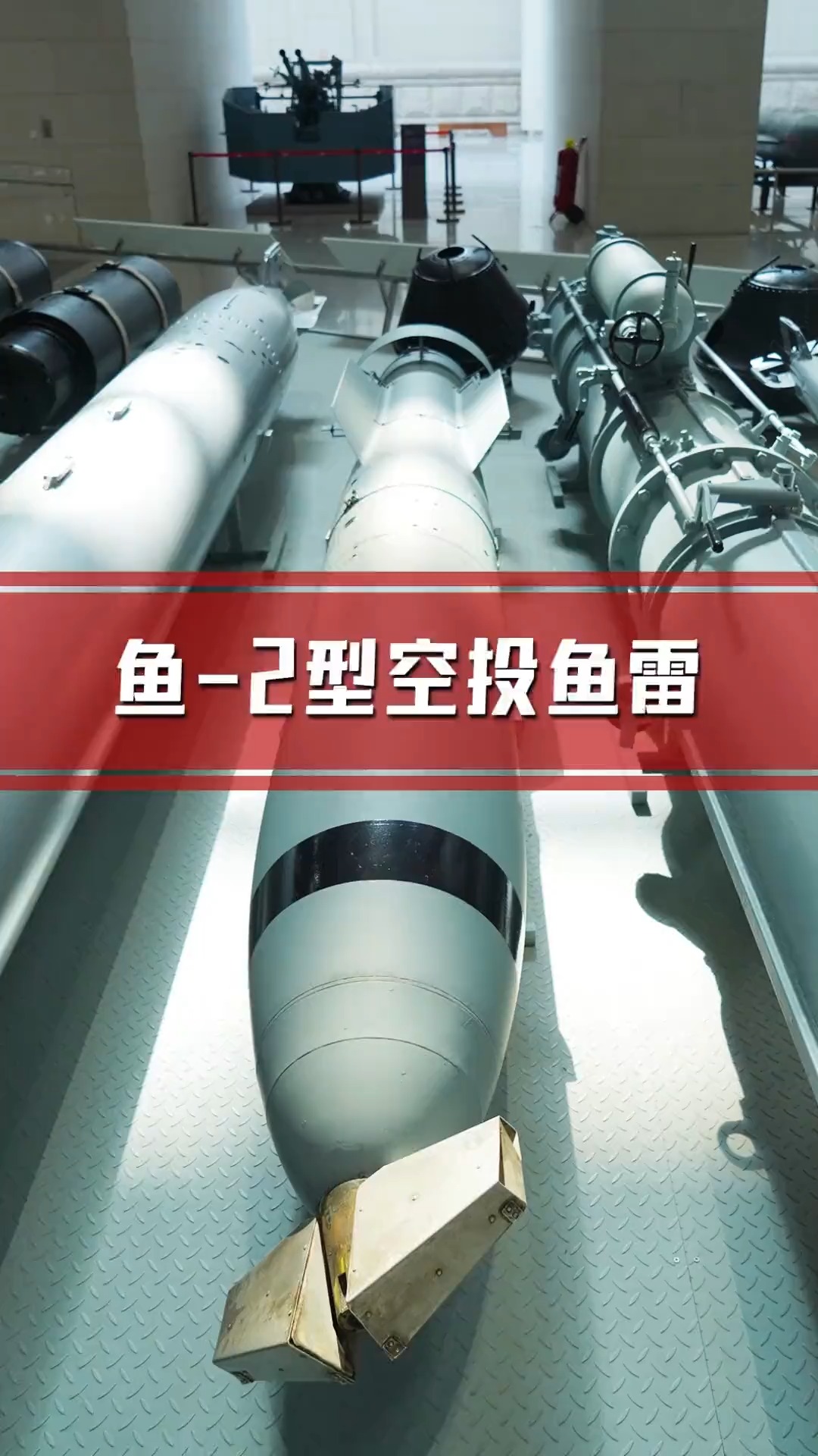 #军事科技#鱼-2型空投鱼雷 #海军 #轰炸机 #军迷