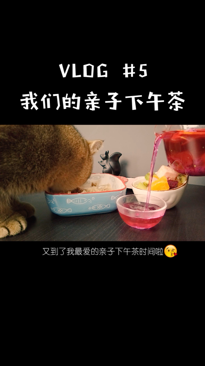 办公室高空五星下午
