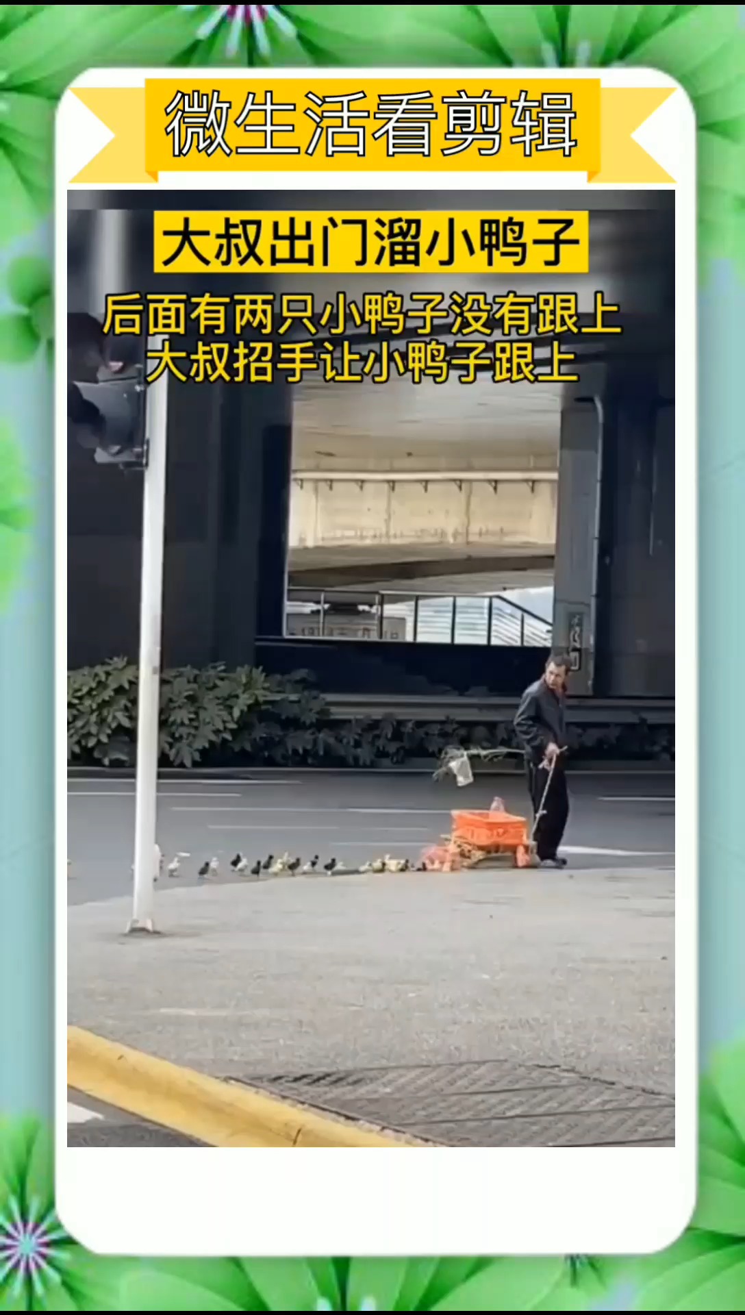 #我要上热门#大叔出门溜小鸭子,小鸭子没有跟上大叔招手让小鸭子跟上,鸭子屁颠屁颠的跟上来了