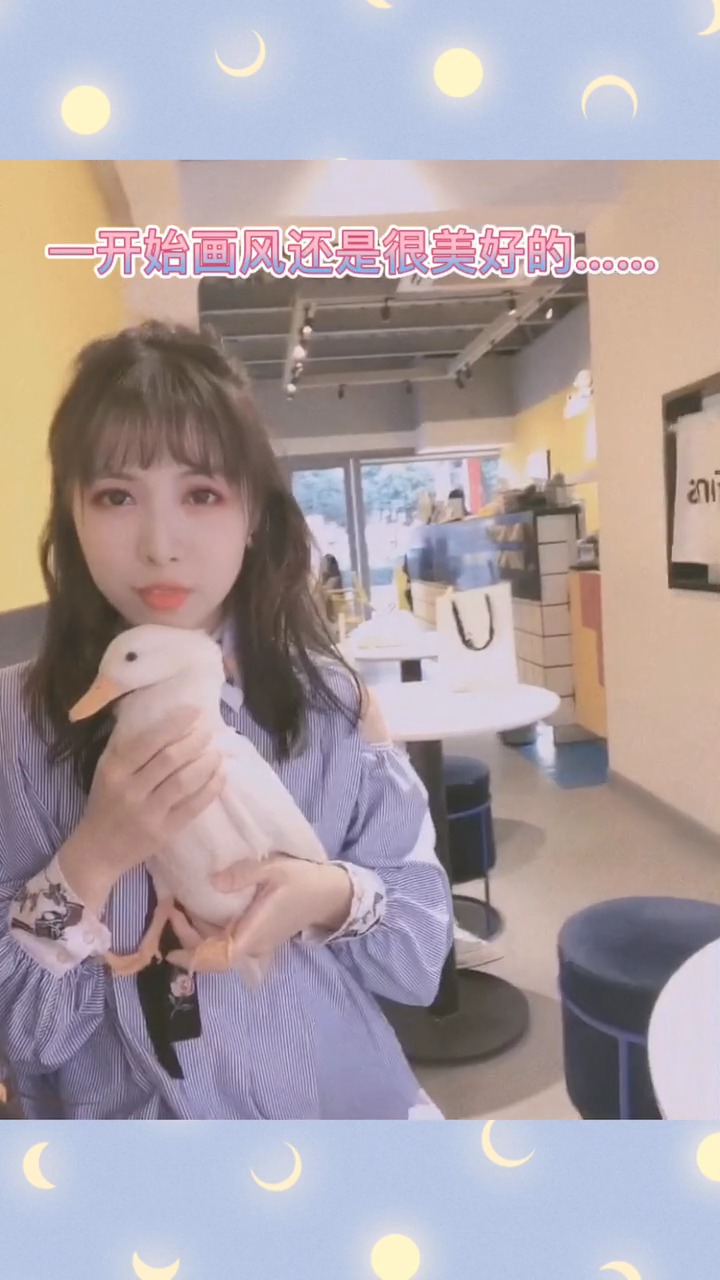 #明星娱乐#传说中王思聪养的鸭子!科尔鸭!终于rua到了!