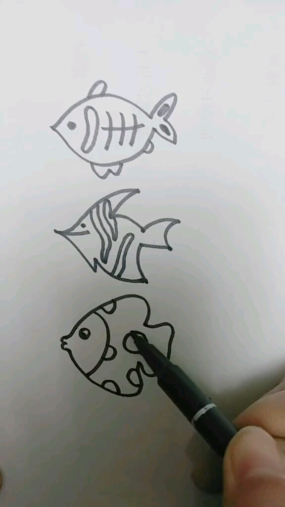 三种不同鱼的画法