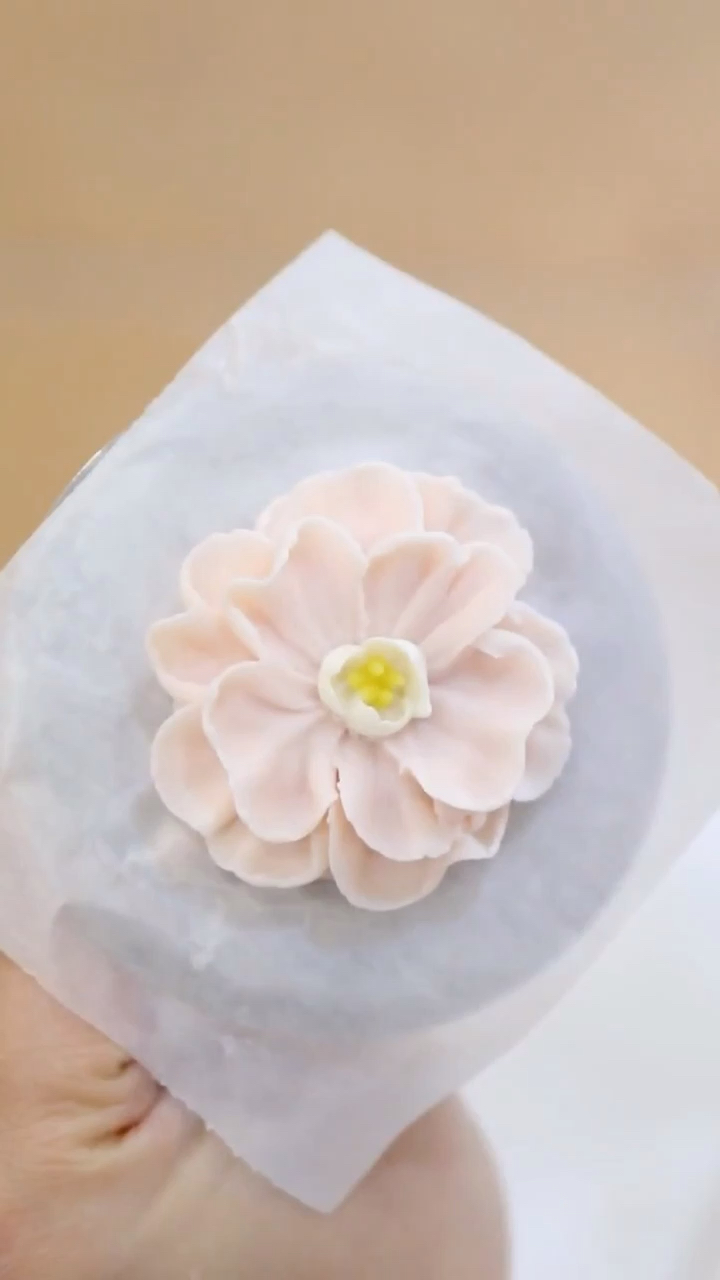 #镜头里的春天#裱花蛋糕技术学习,有学习裱花的地方吗?韩式裱花培训学校