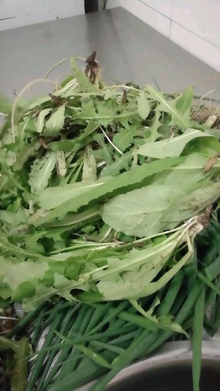 野菜