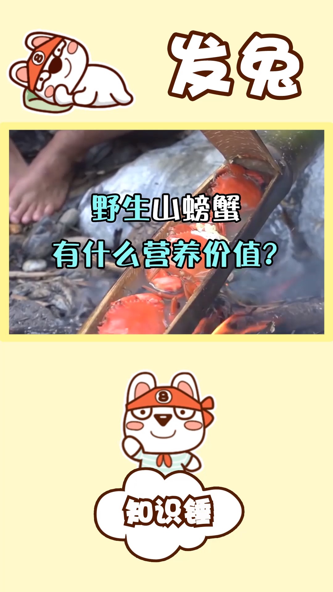 农村小溪里的野生山螃蟹有什么营养价值和功效?