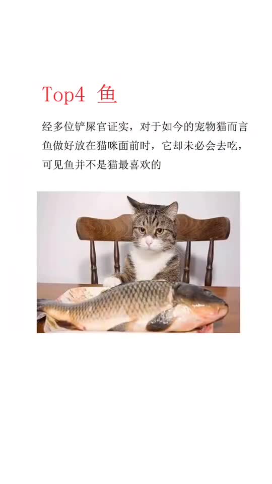 猫咪最喜欢吃的食物第一名竟是