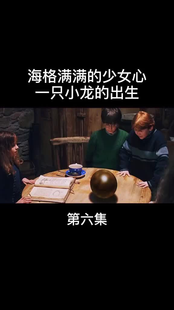 哈利波特海格真的是太可爱了,那么喜欢小动物