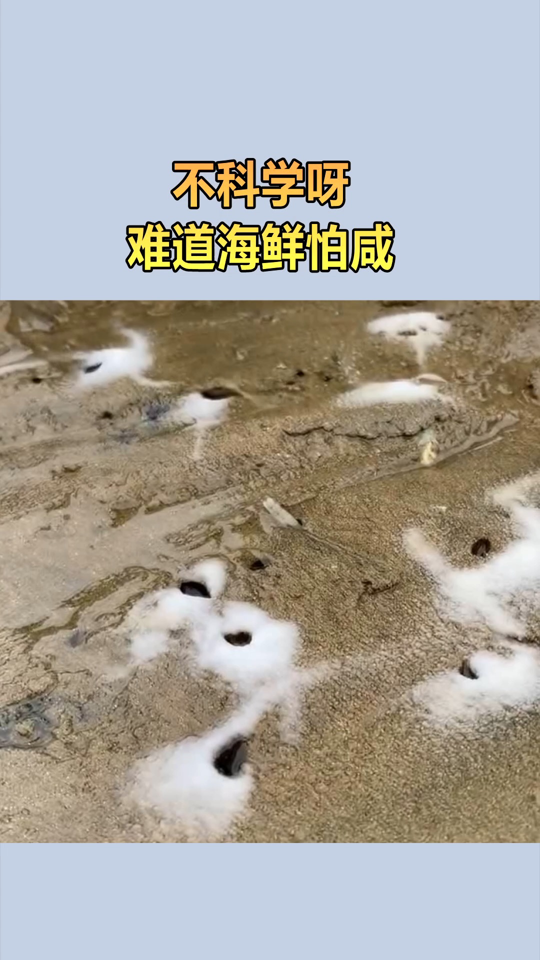 #我要上热门#不科学呀,莫非海鲜怕咸?
