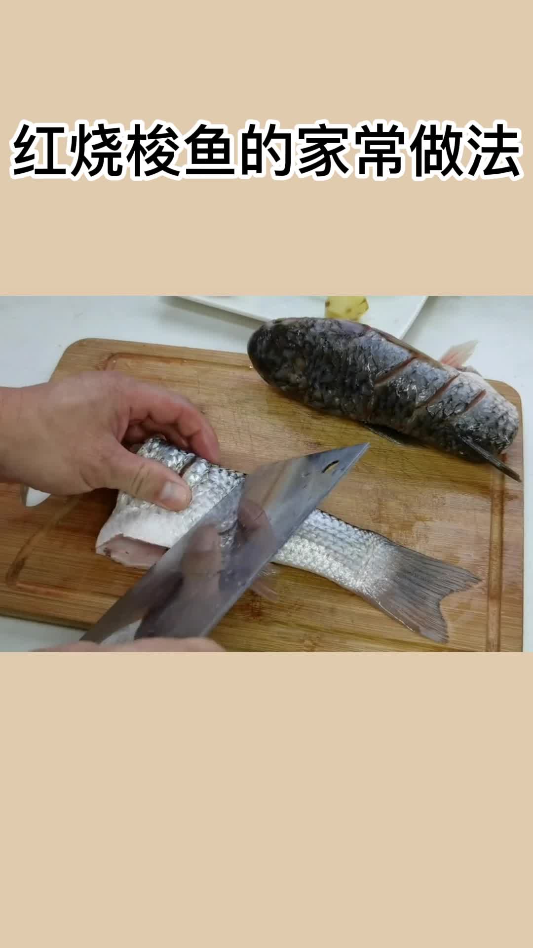 红烧梭鱼的家常做法,你学会了吗?