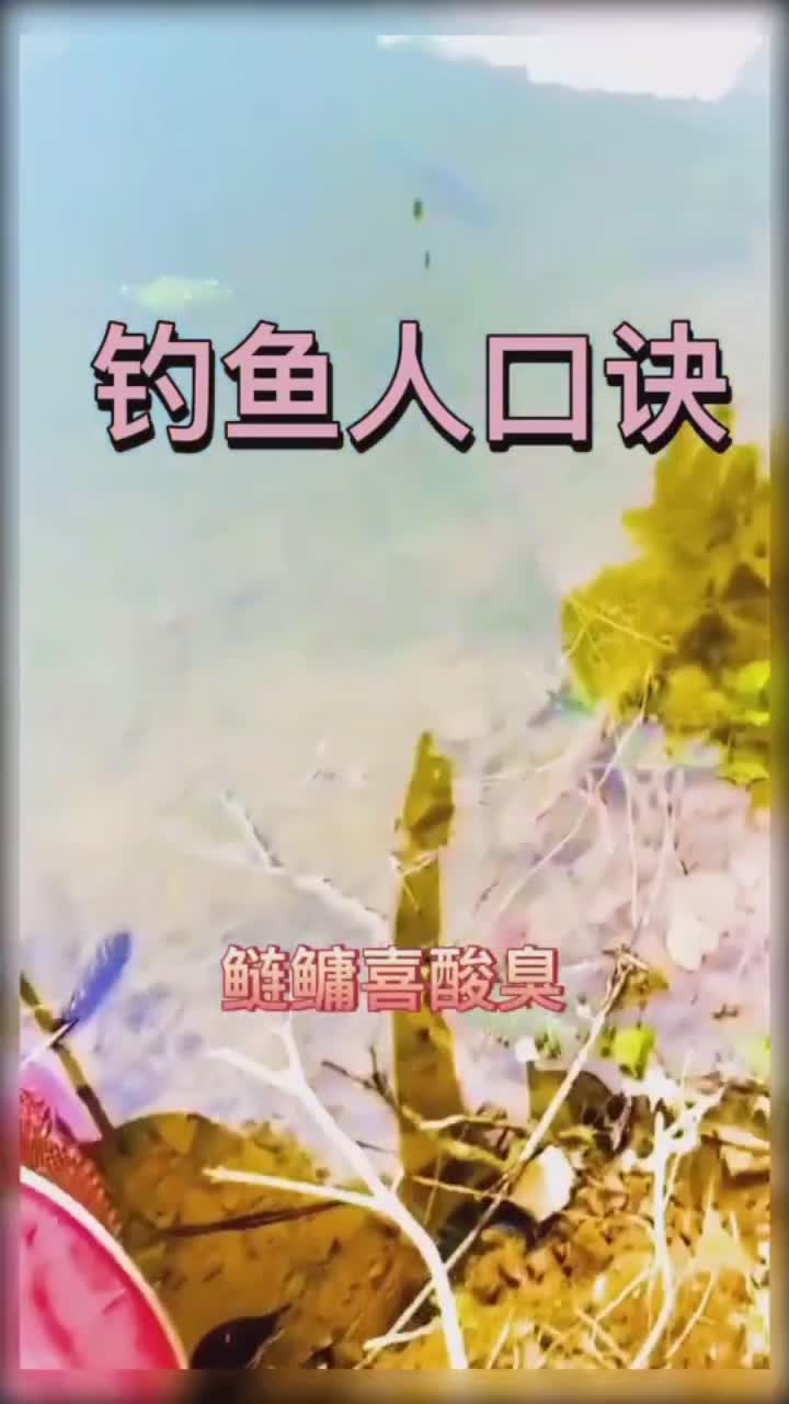 钓鱼人经验口诀,分享给大家。