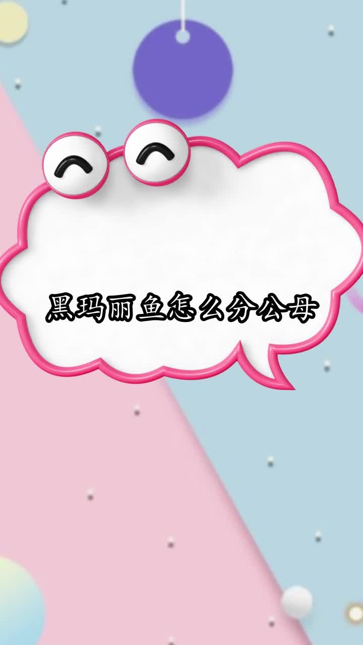 黑玛丽鱼怎么分公母,你明白了吗