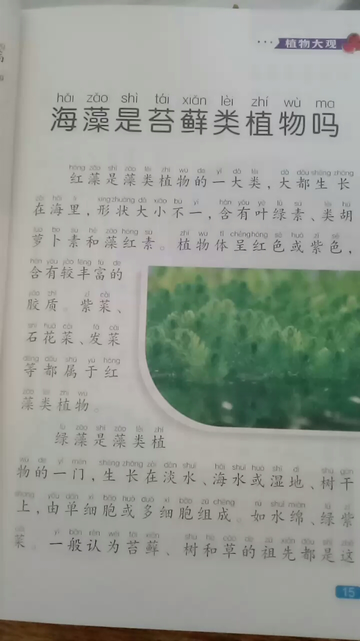 海藻是苔藓类植物吗