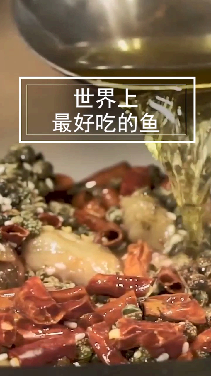 世界上最好吃的鱼你吃过几种