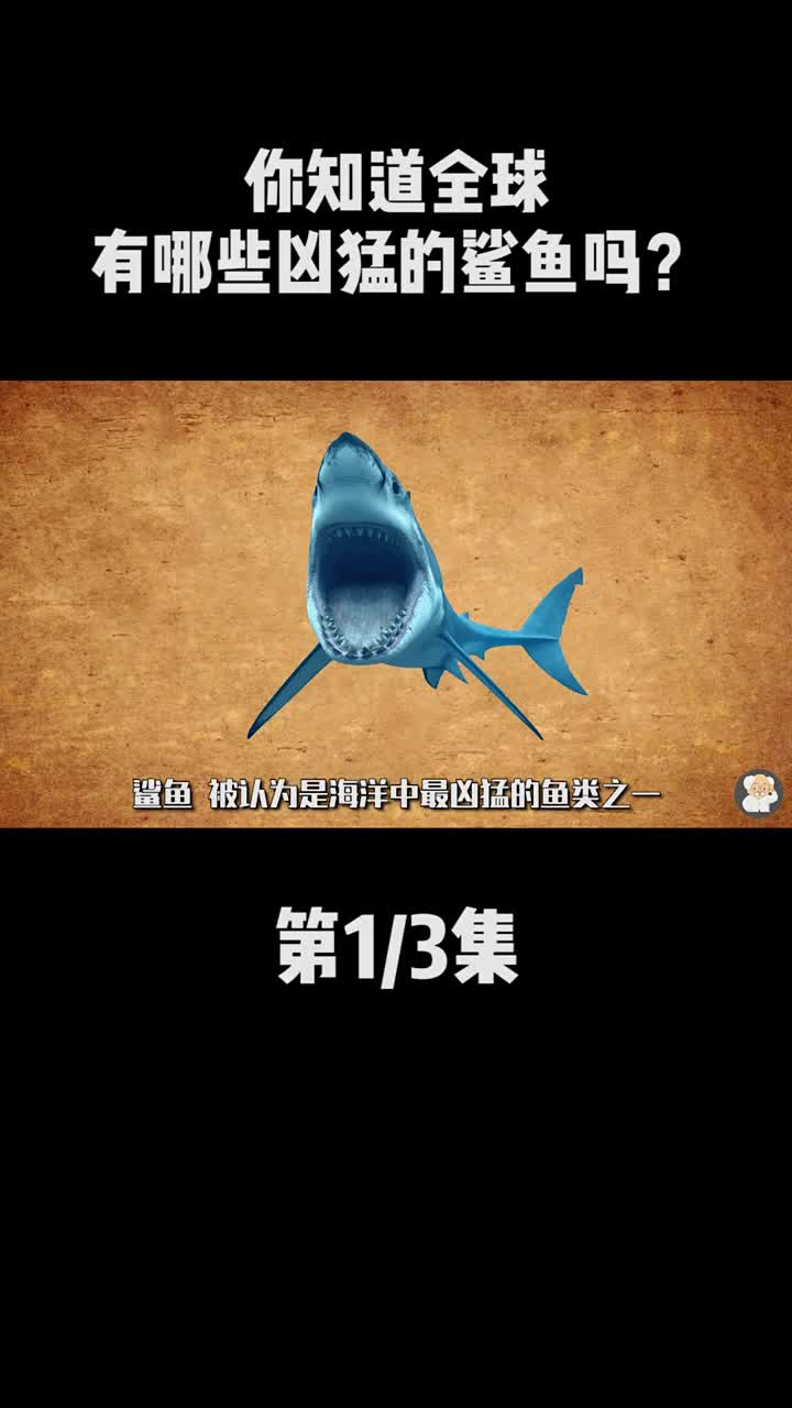 全球最凶猛的十大鲨鱼,你知道多少?