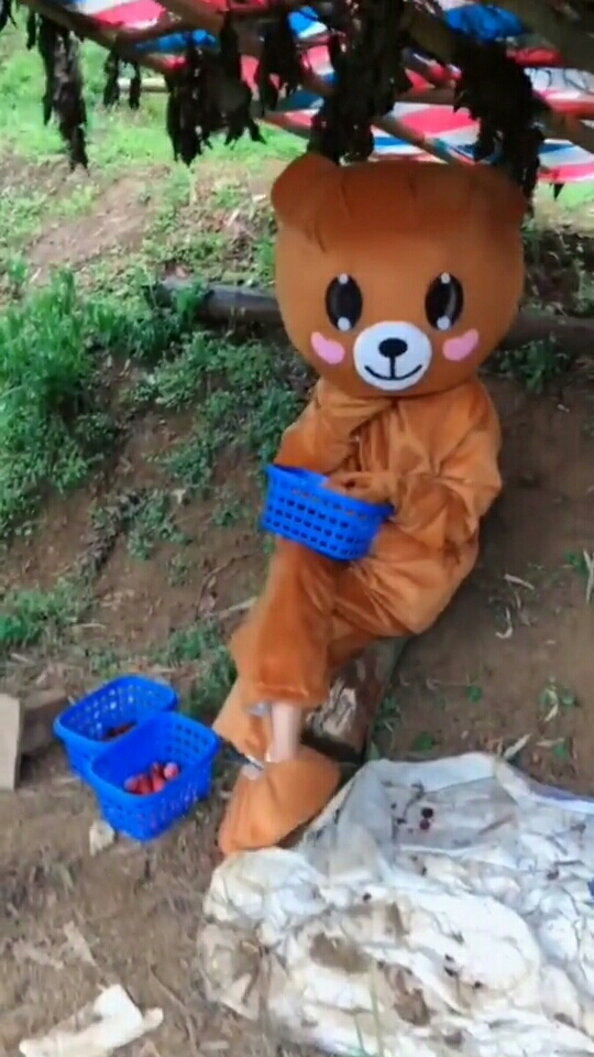 爱吃草莓的小熊熊 