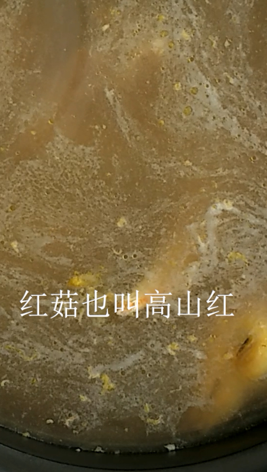 #回家路上那些事#李大白更新日常之红菇枸杞鸽子汤