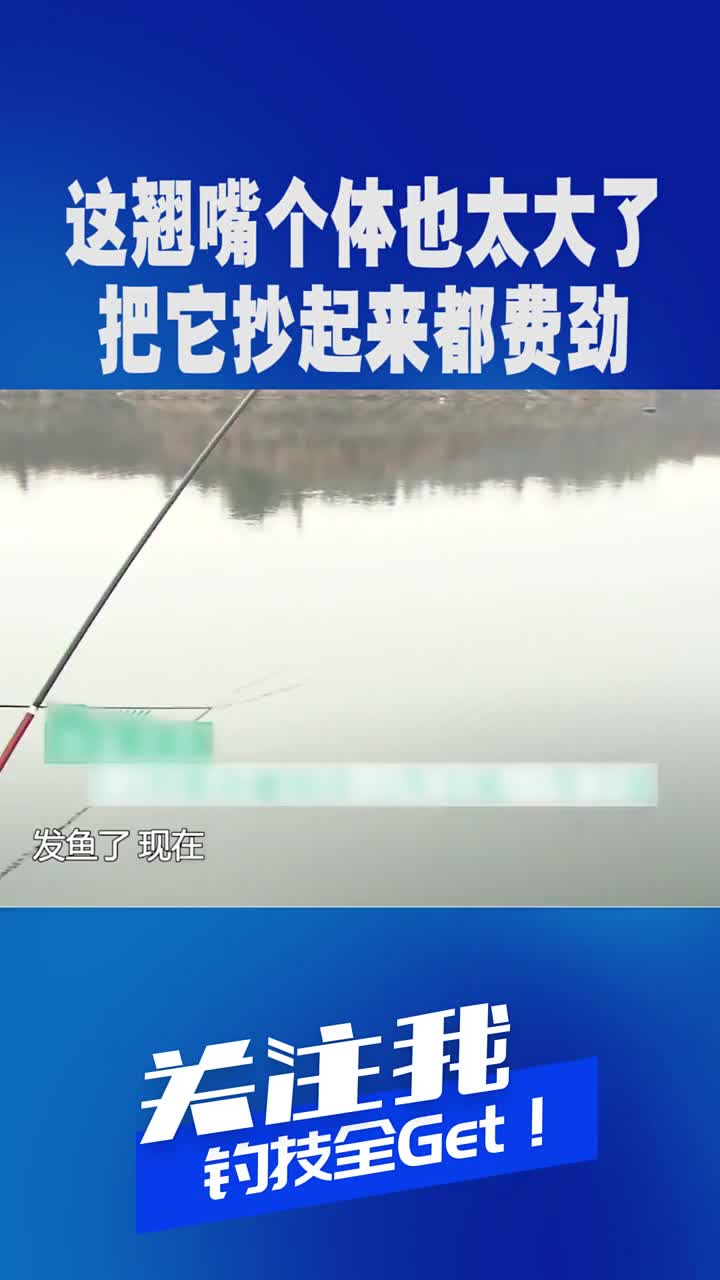 抄起来都费劲,这么大的翘嘴你见过吗?