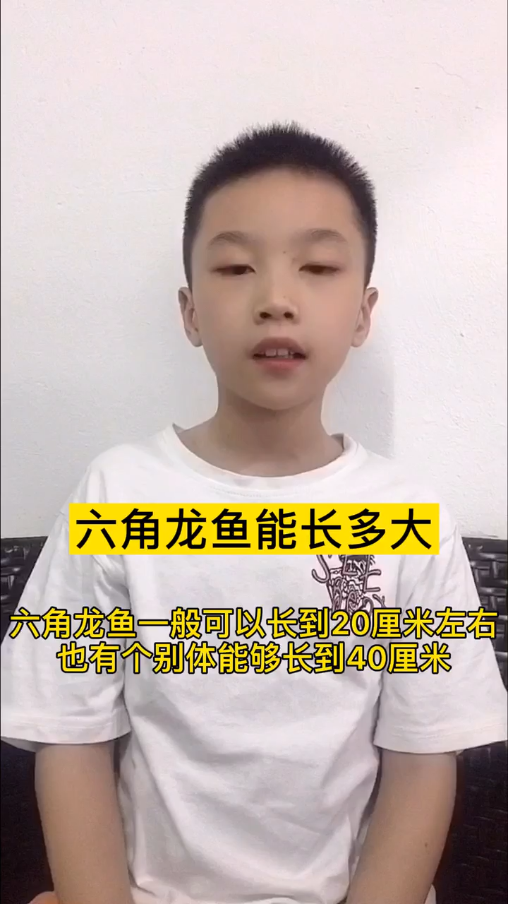 六角龙鱼能长多大?