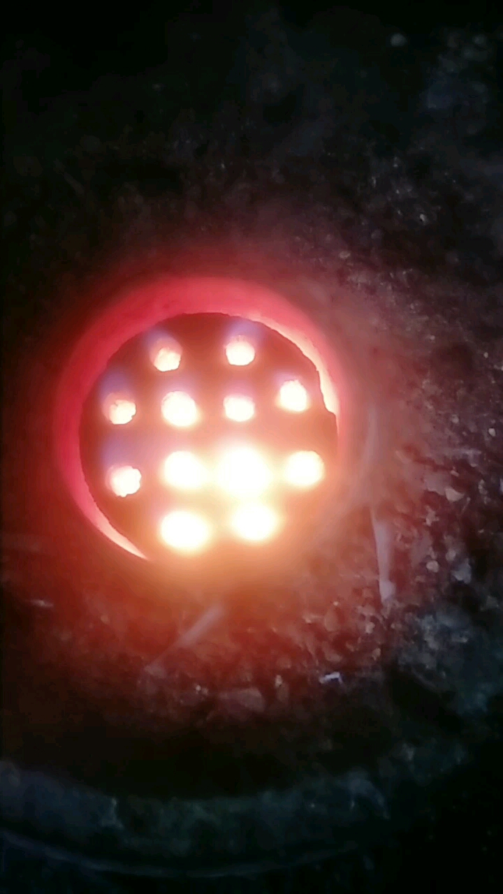 2019红红火火开心每一天,刷到这个视频点个赞祝您生意红红火火身体健康步步高升
