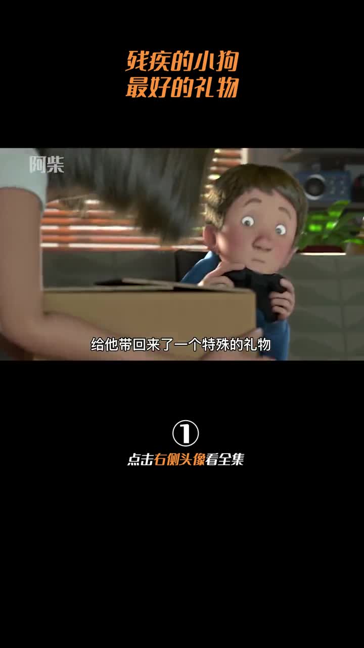 乐观的小狗宠物暖心感人正能量狗狗