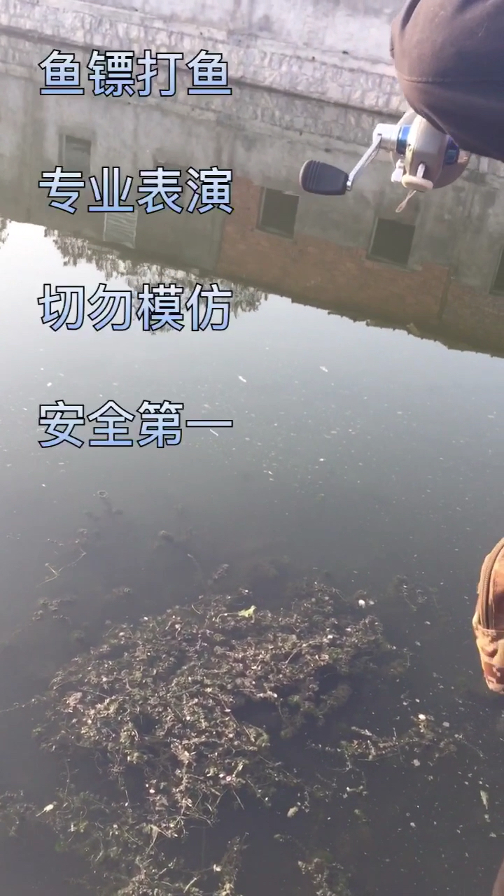 专业表演。切勿模仿。安全第一