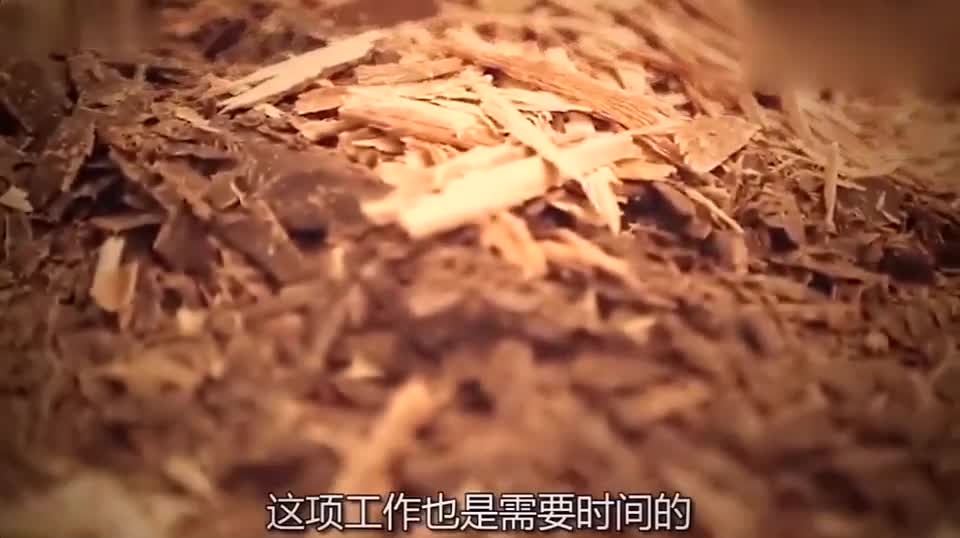 热巧克力 每一杯都是精华 外国人真是会喝。