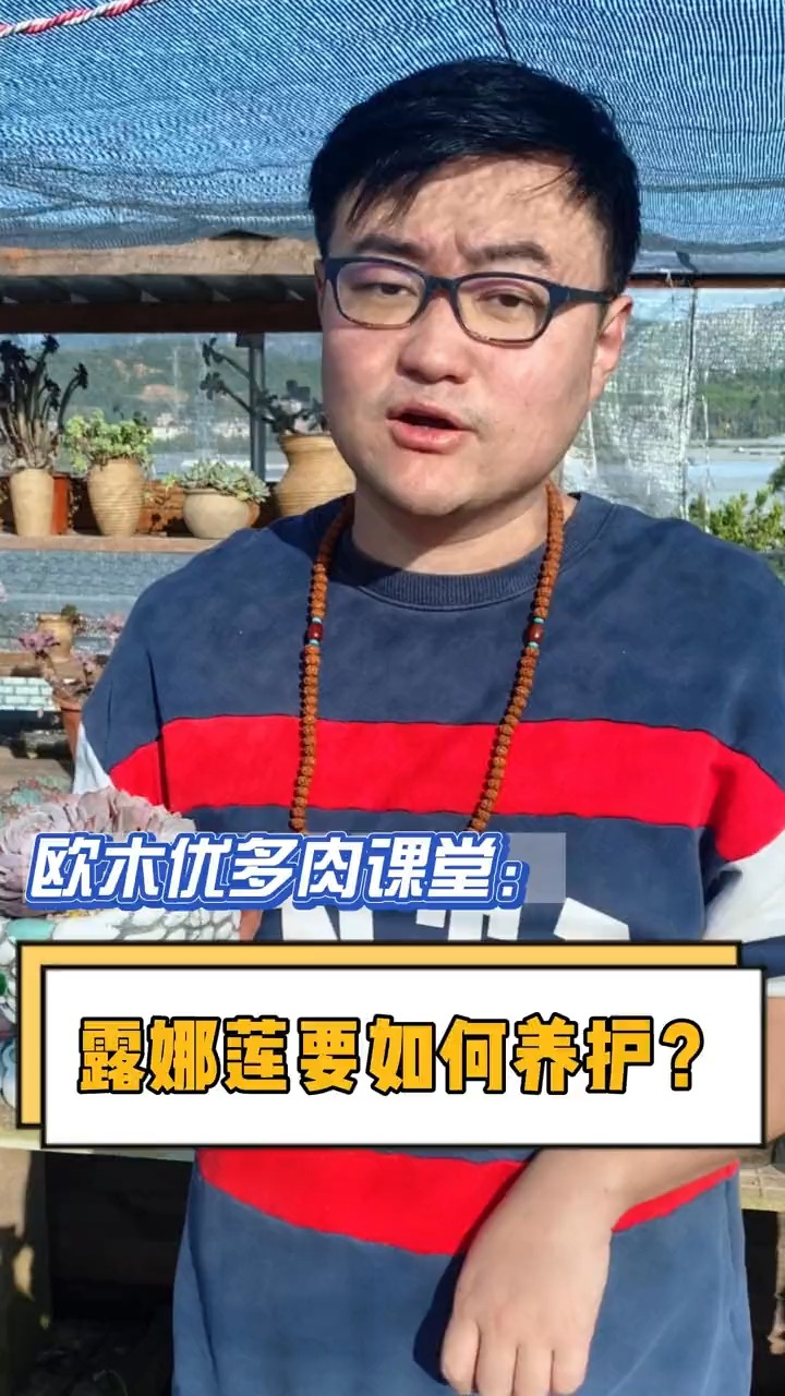 #有一种可爱叫多肉!#养露娜莲的朋友们看过来啦,它该如何养护呢?这条视频告诉你,秋季施肥容