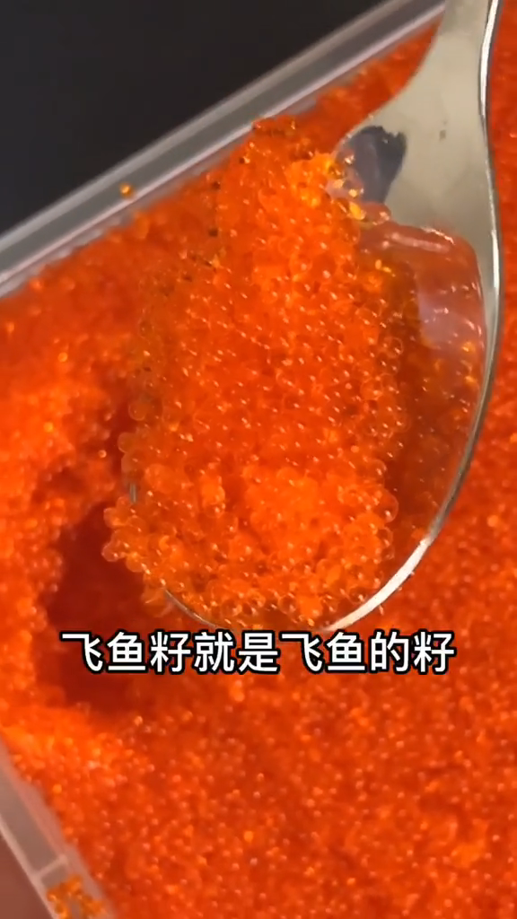 飞鱼籽是什么一起来看看吧