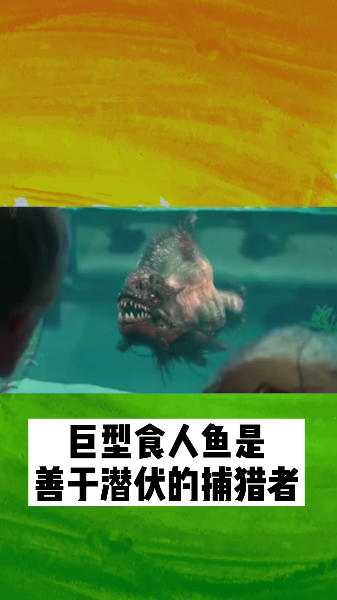 巨型食人鱼