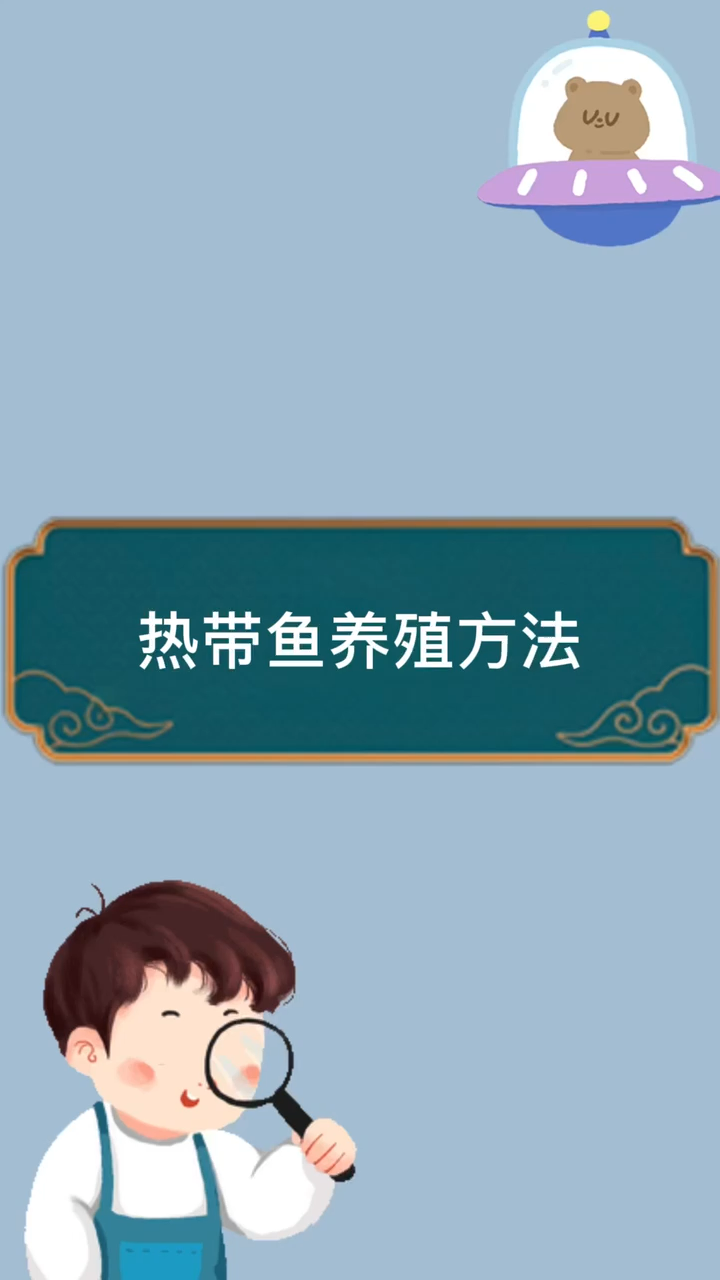 热带鱼养殖方法。