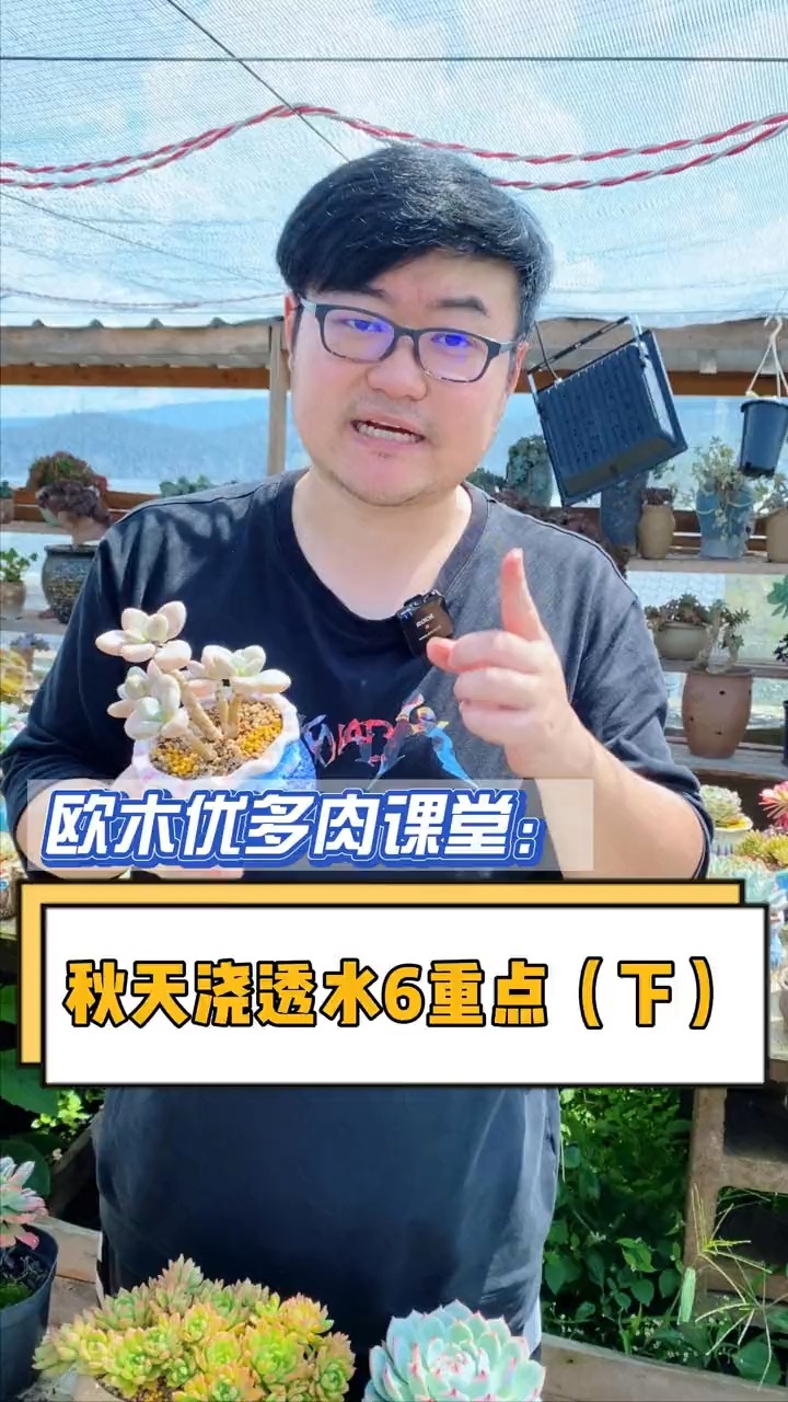 #有一种可爱叫多肉!#秋天浇透水的6大知识点下半部分在这,学会的点赞收藏哦#多肉 #多肉植