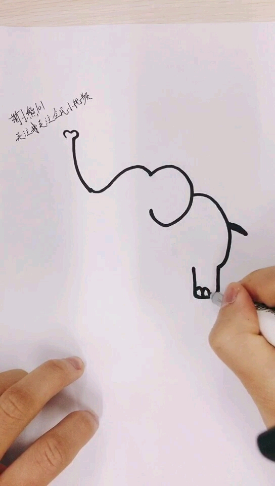 萌小熊简笔画,教你画出简单的大象