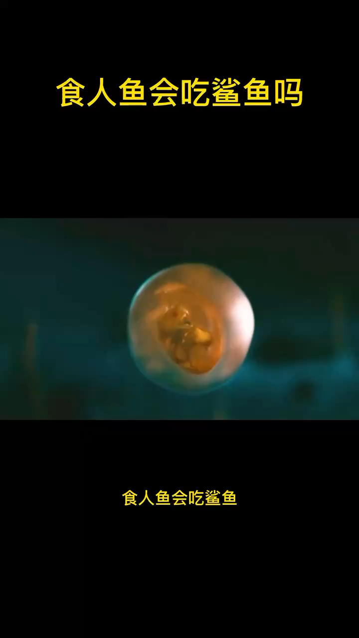 食人鱼会吃鲨鱼吗