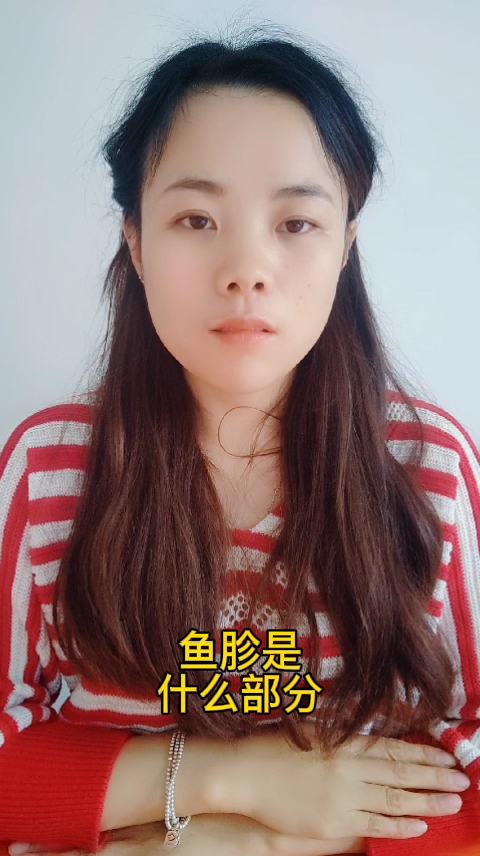 鱼胗是什么部分   