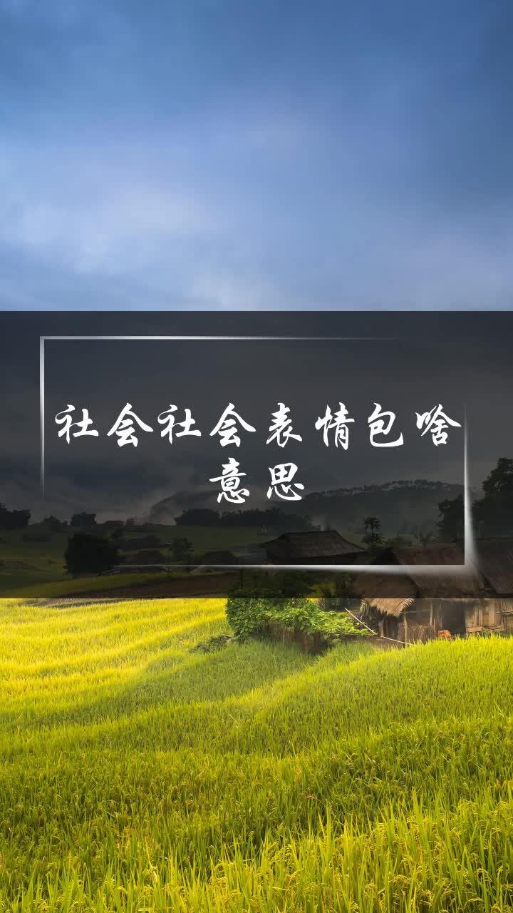 社会社会表情包啥意思