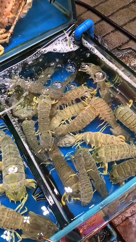 #过年你家吃什么#黄沙的海鲜真是一绝啊!