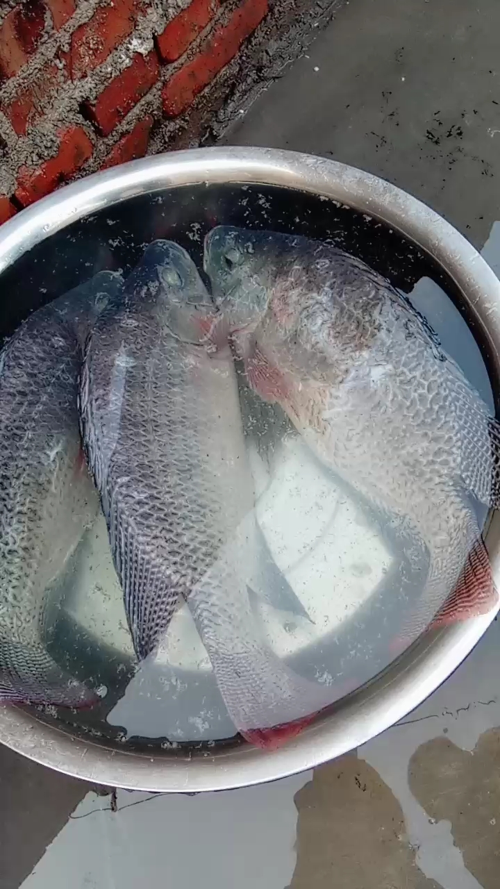 分享视频