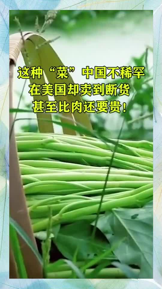 这种菜中国不稀罕,在美国却卖到断货