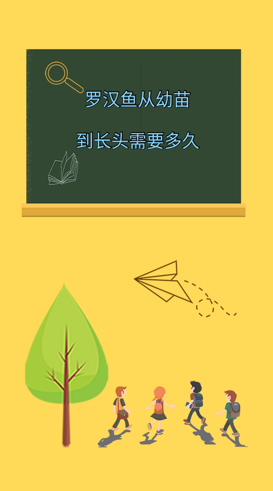 罗汉鱼从幼苗到长头需要多久