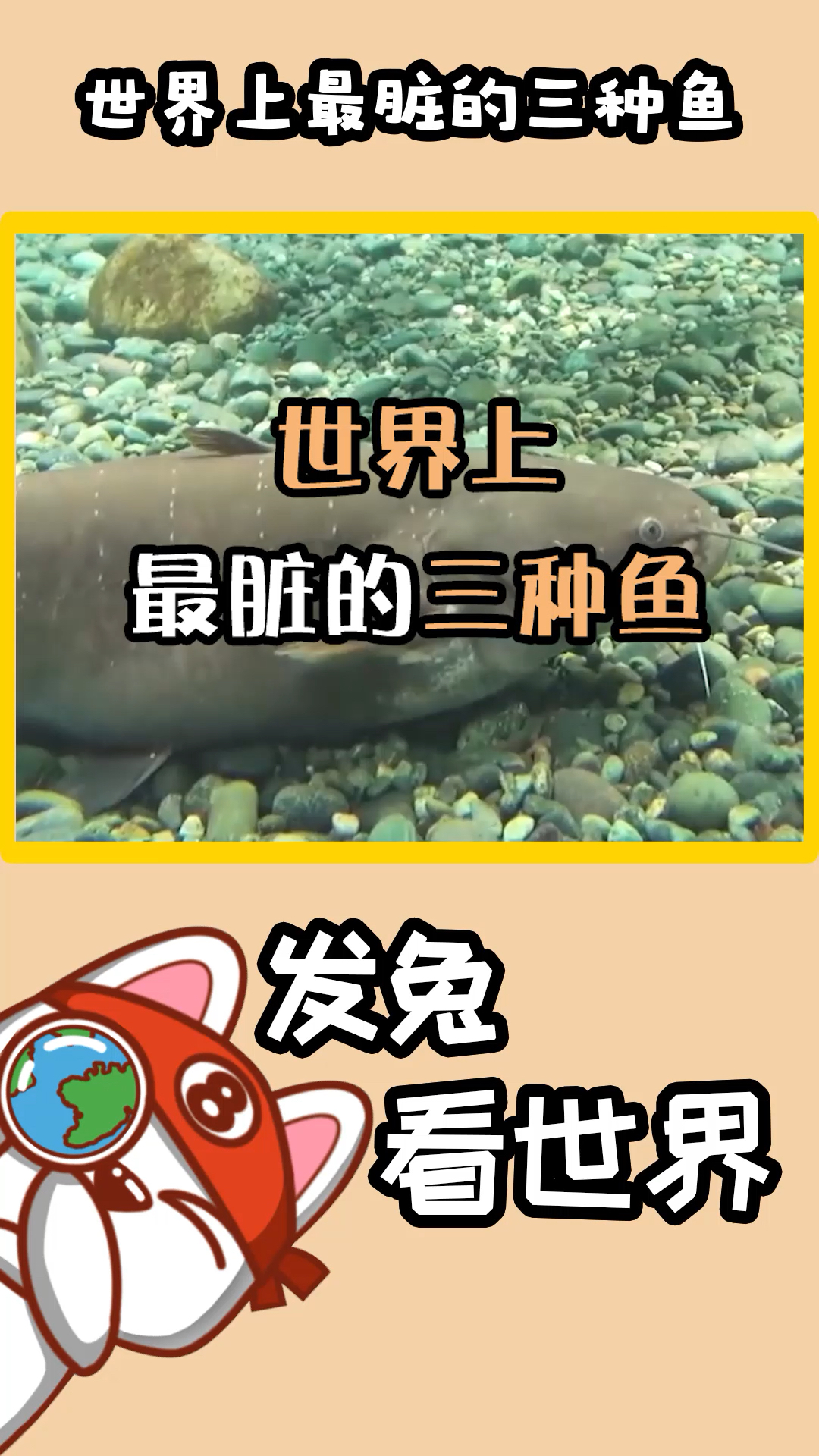 这种鱼污水中生存,整日食用粑粑,对臭东西感兴趣,很多人都吃过