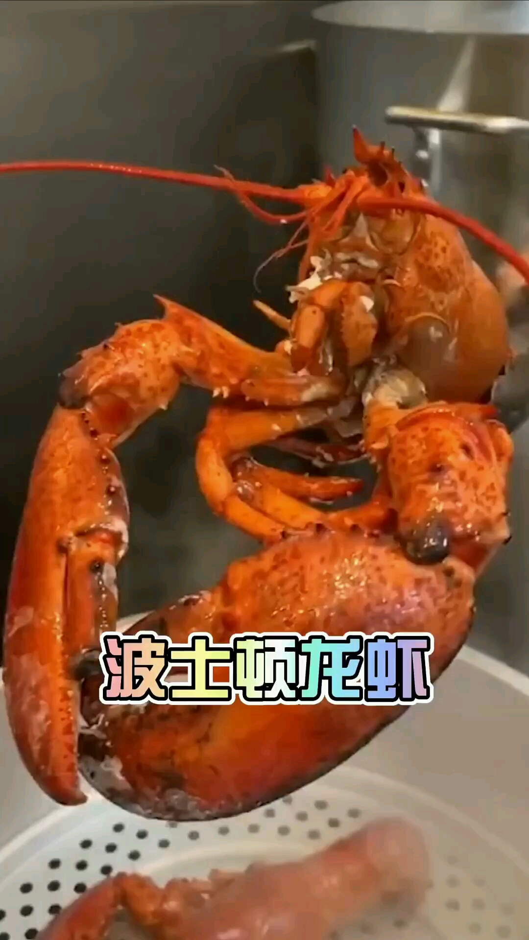 清蒸波士顿大龙虾来一顿30秒停不下来的龙虾盛宴#波士顿龙虾