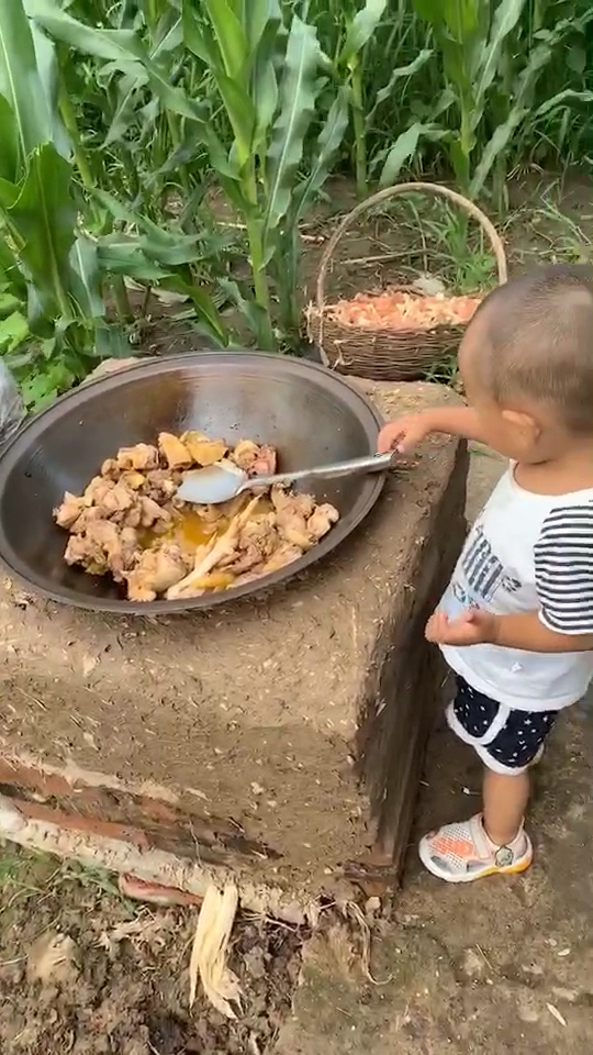 两岁宝宝铁锅炖小鸡,自己动手丰衣足食