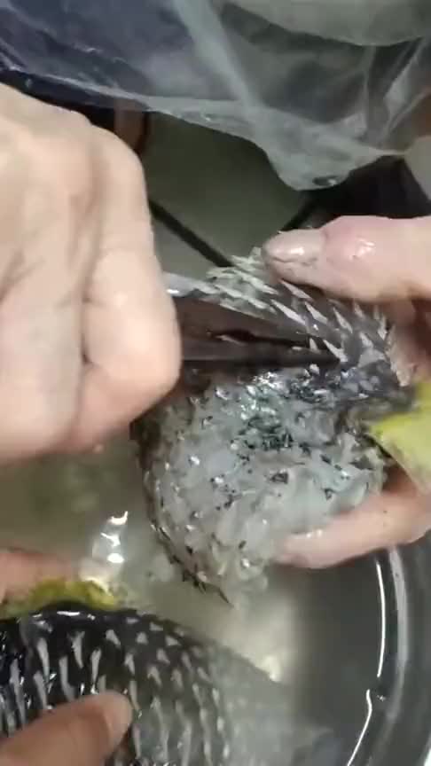 酒店老板娘嫌菜价贵,走进后厨一看,立马不说话了