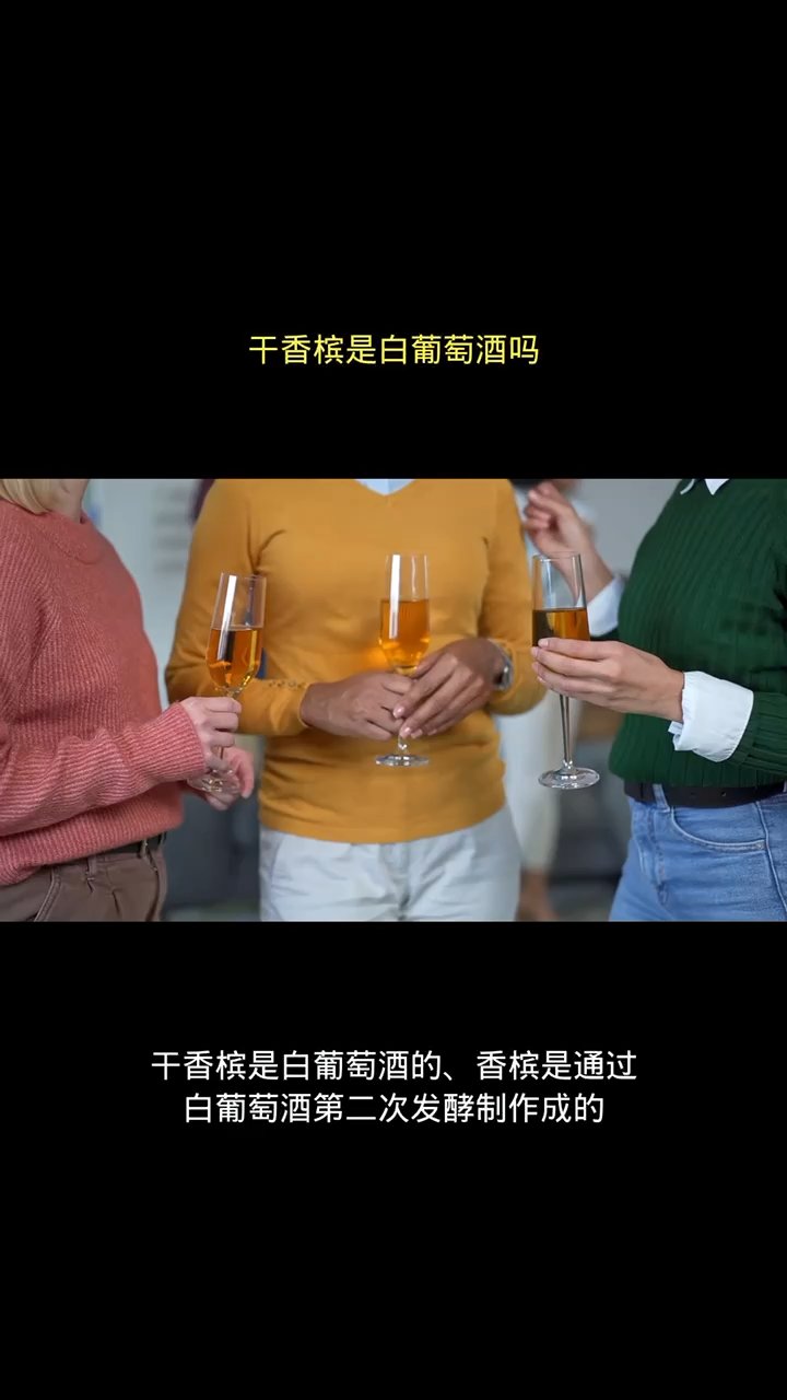 干香槟是白葡萄酒吗