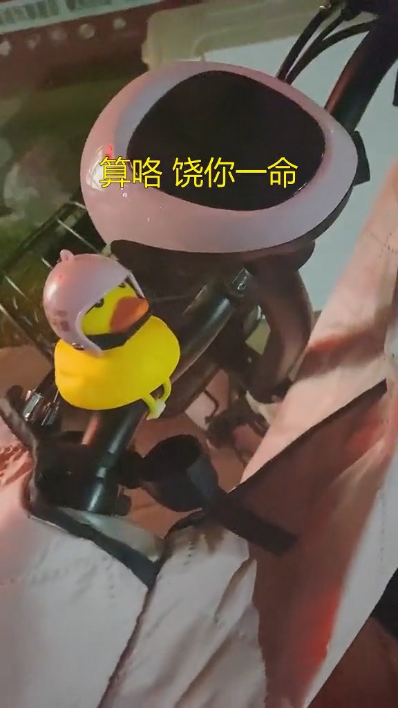 #搞笑视频#不知道是谁的小黄鸭,算咯,饶你一命小黄鸭
