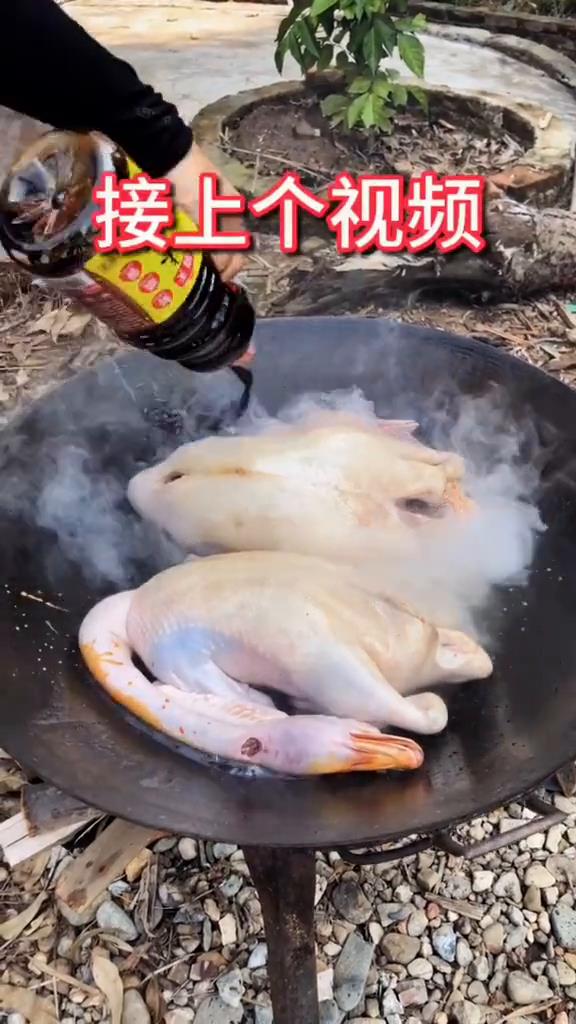 豉油鹅做法第二步,接上个视频,可以翻看我主页#美食分享#美食制作#煮鹅#豉油鹅