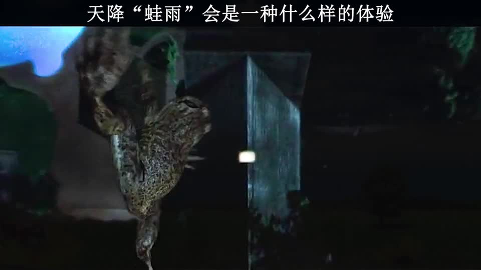 全是蛙腿啊!快做蛙腿三明治